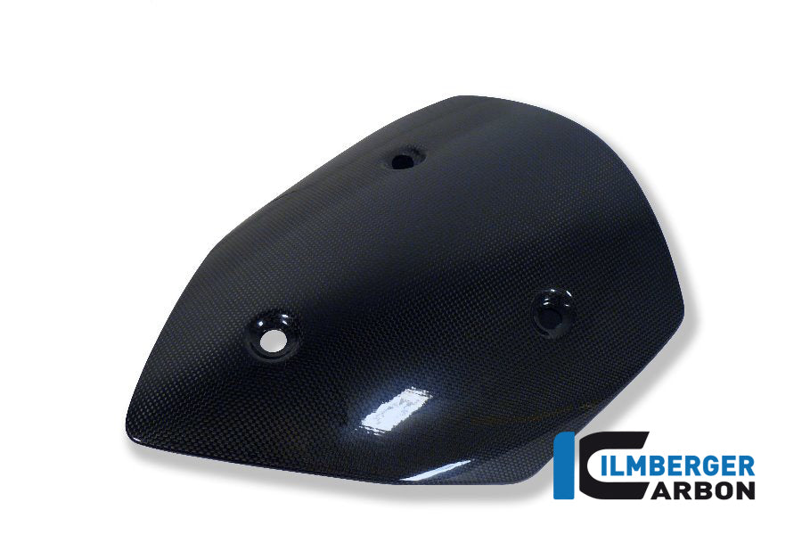 Windshield Carbon