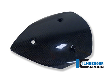 Windshield Carbon