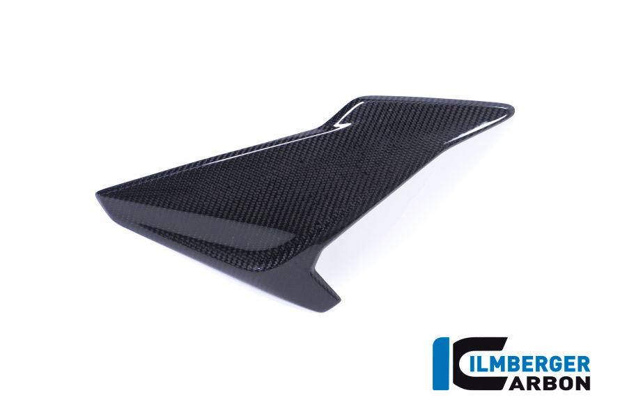 FAIRING SIDE PANEL (RIGHT) - BMW S 1000 RR (ab 2017)