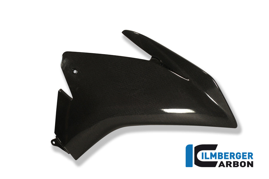 Right fairing side panel carbon