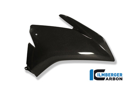 Right fairing side panel carbon
