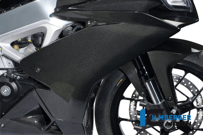 Right fairing side panel carbon