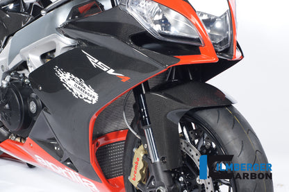 Right fairing side panel carbon