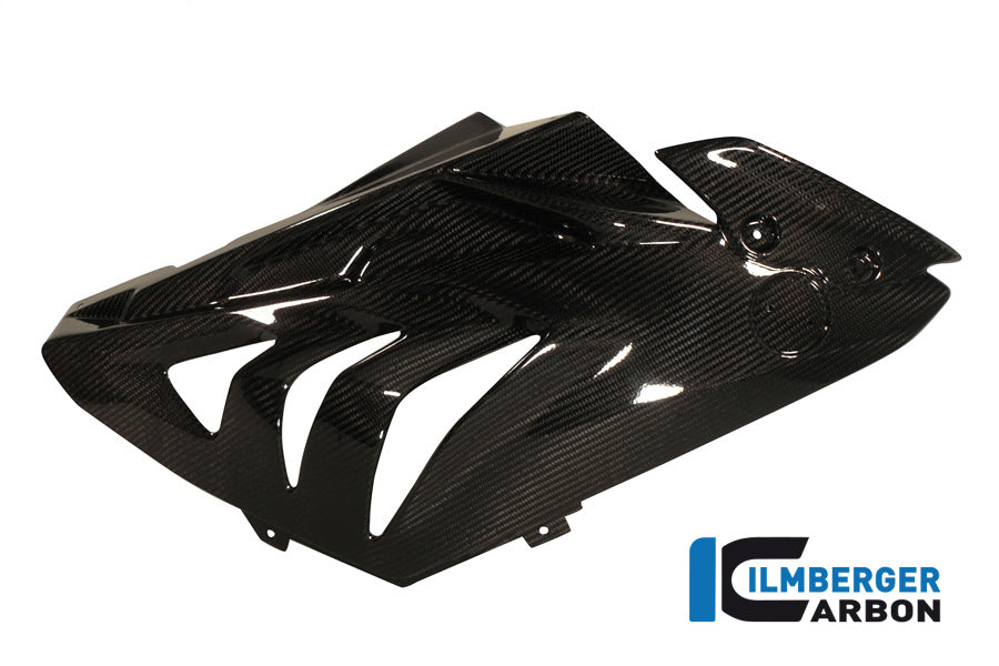 Fairing Side Panel Racing 2012 Carbon