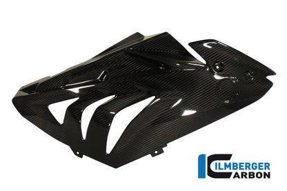 Fairing Side Panel Racing 2012 Carbon