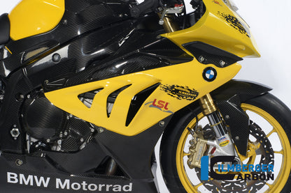 Fairing Side Panel Racing 2012 Carbon