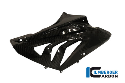 Fairing side panel right carbon