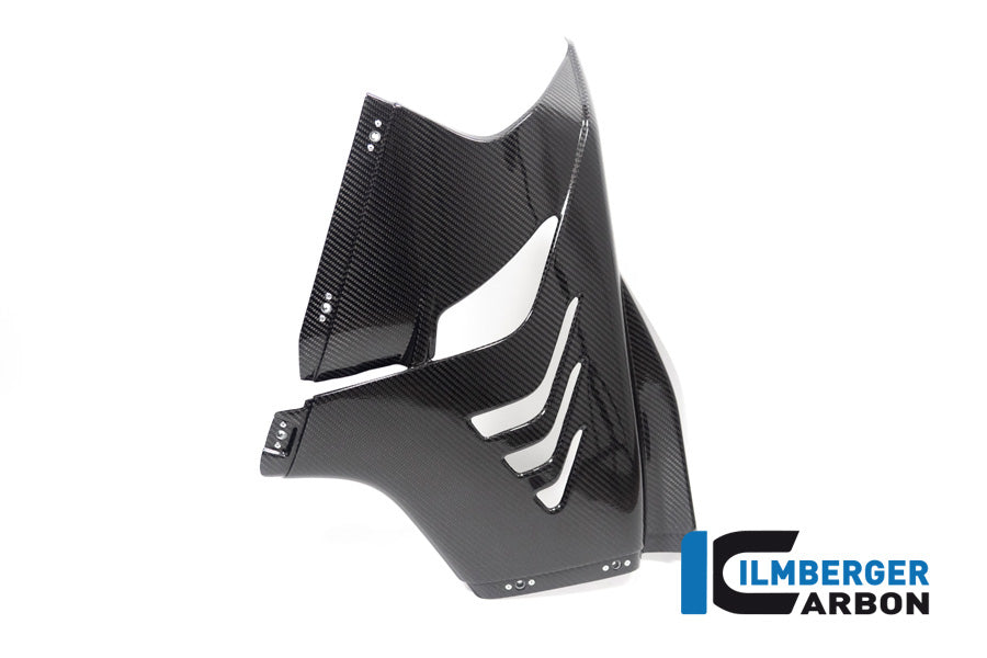 Fairing Side Panel Racing right side BMW M 1000 RR MY from 2023
