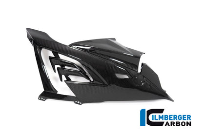 Fairing Side Panel Racing right BMW S 1000 RR MY from 2019