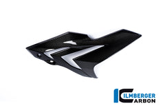 Fairing side panel right BMW S 1000 R