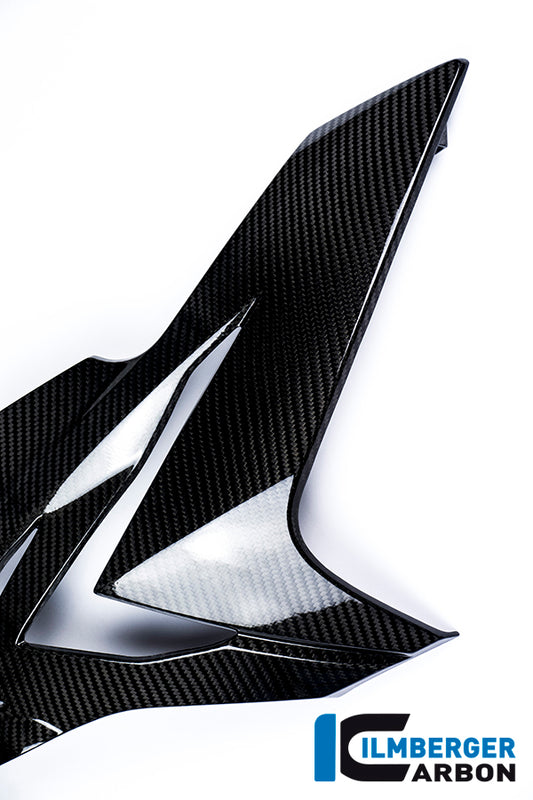 Fairing side panel right carbon