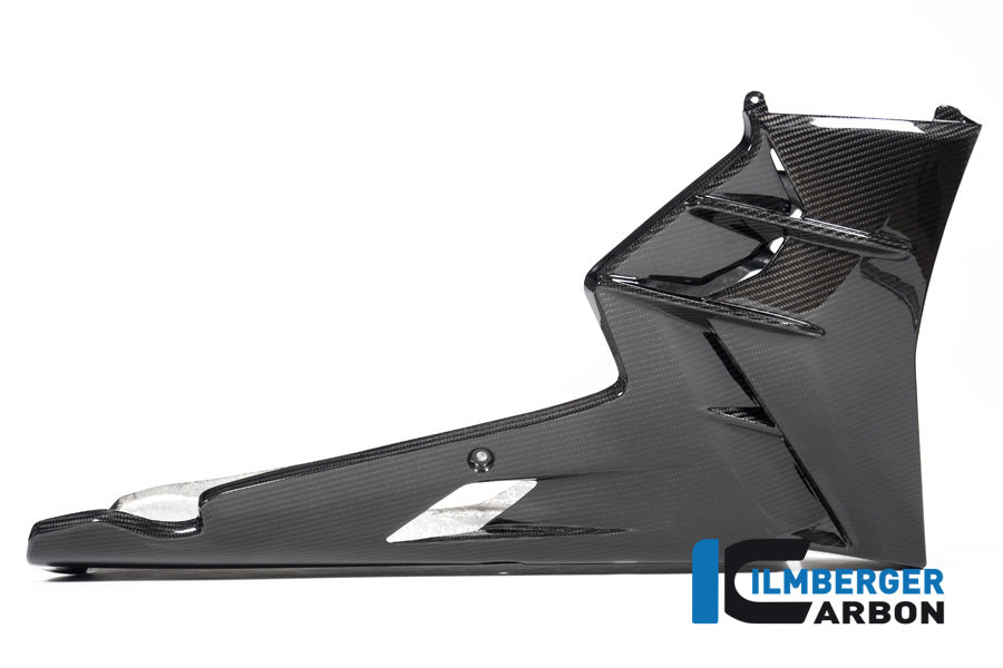 Bellypan one piece Tuono V4 from 2021