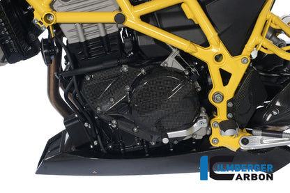 Motor spoiler carbon