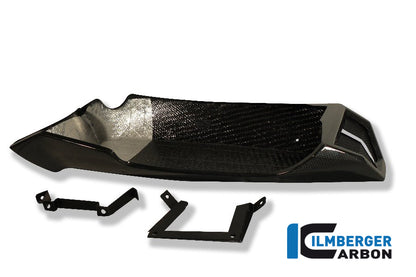 Motor spoiler carbon