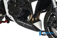 Motor spoiler carbon