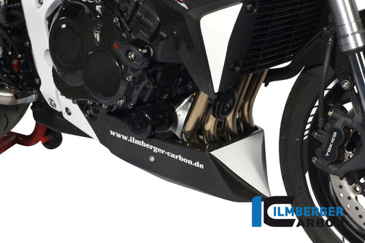 Motor spoiler carbon