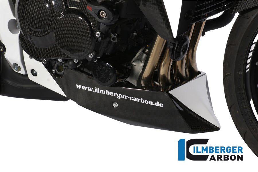 Motor spoiler carbon