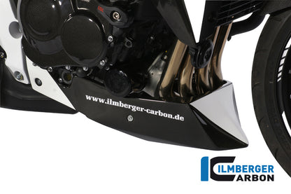 Motor spoiler carbon
