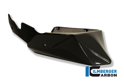 Motor spoiler carbon
