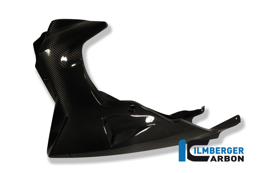 Motor spoiler carbon