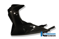 Motor spoiler carbon