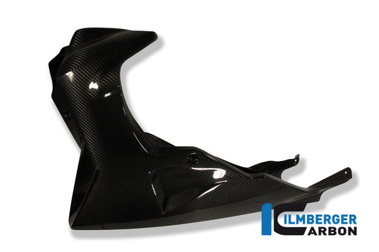 Motor spoiler carbon