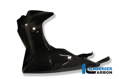 Motor spoiler carbon