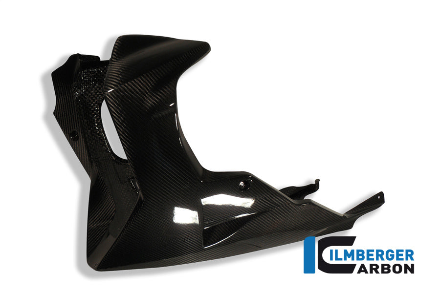 Motor spoiler carbon
