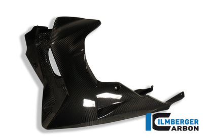 Motor spoiler carbon