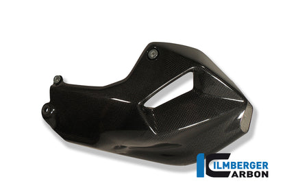 Motor spoiler Carbon