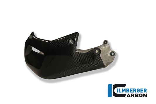 Motor spoiler Carbon