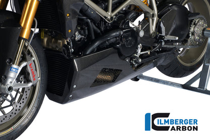 Motor spoiler carbon
