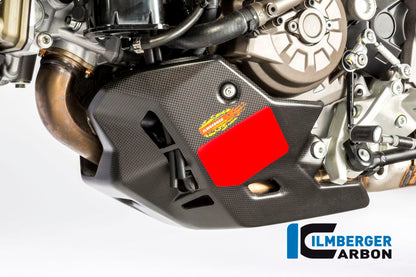 Bellypan surface Ducati MTS 1200 '15