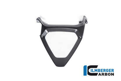 Middle part of the bellypan Diavel 1260
