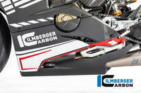 Bellypan matt Panigale V4 Racing