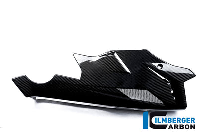 Motor spoiler carbon