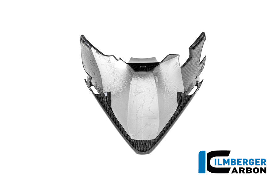 Lower Fairing BMW M1000 RR 2025