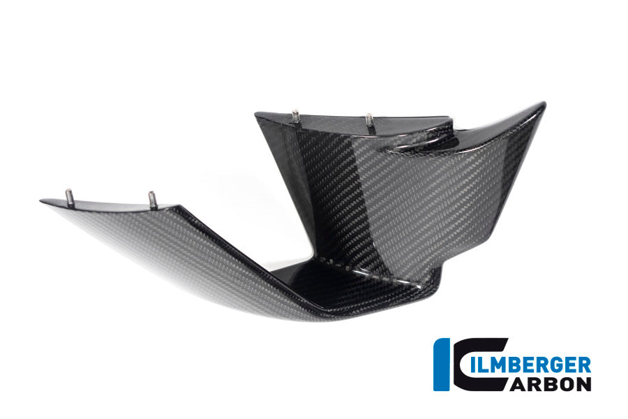 Flap on the Fairing left Side BMW M 1000 RR MY 2021-2022