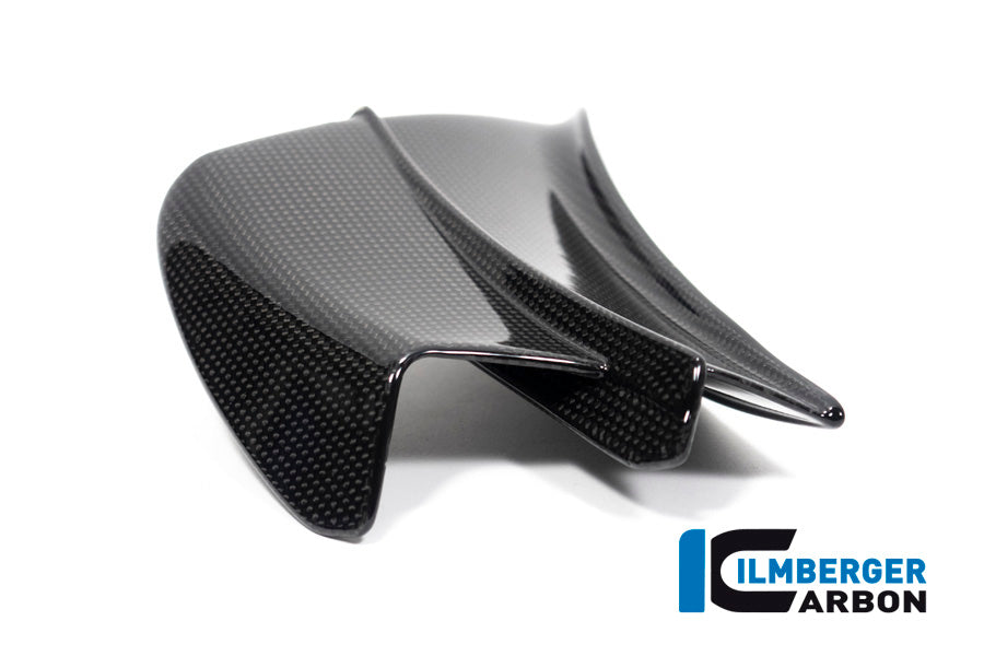 Winglet left gloss Panigale V4 R