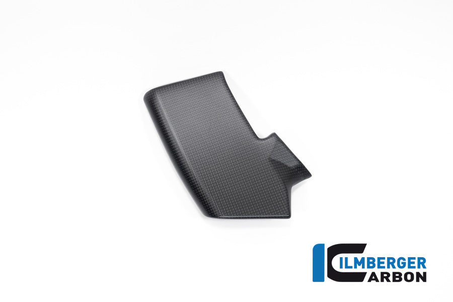 Fairing Side Winglet kit left side matt V4 Streetfighter
