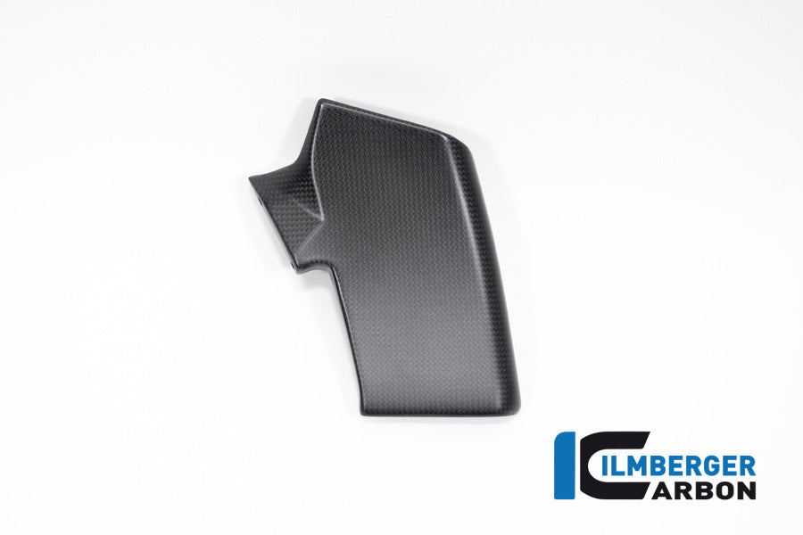 Fairing Side Winglet kit left side matt V4 Streetfighter