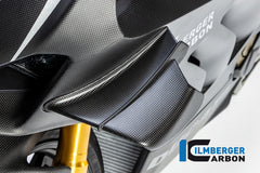 Winglet left Panigale V4 R