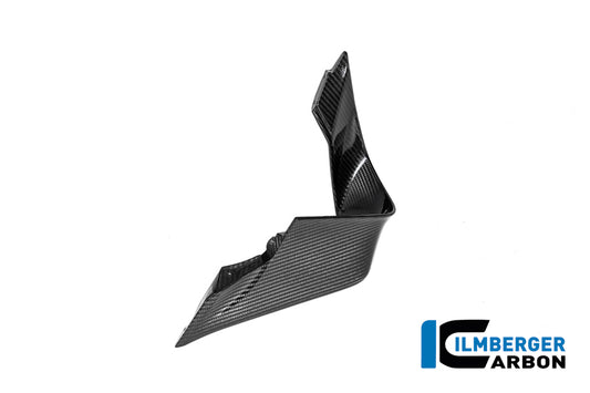 Left Winglet BMW M 1000 RR 2025