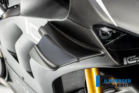 Winglet right matt Panigale V4 R