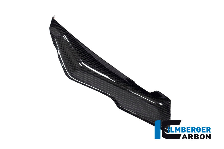 Cover under the Front Fairing left Side BMW R 1250 RS