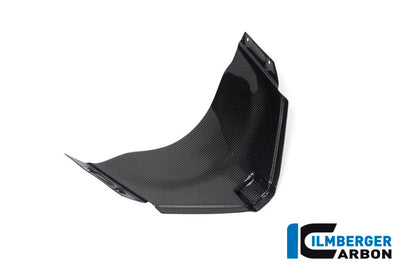 Panel under the front fairing Panigale V4 Racing