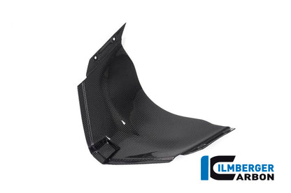 Panel under the front fairing Panigale V4 Racing