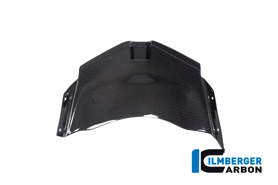 Panel under the front fairing Panigale V4 Racing