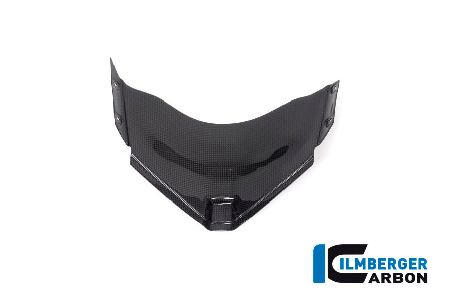 Panel under the front fairing Panigale V4 Racing