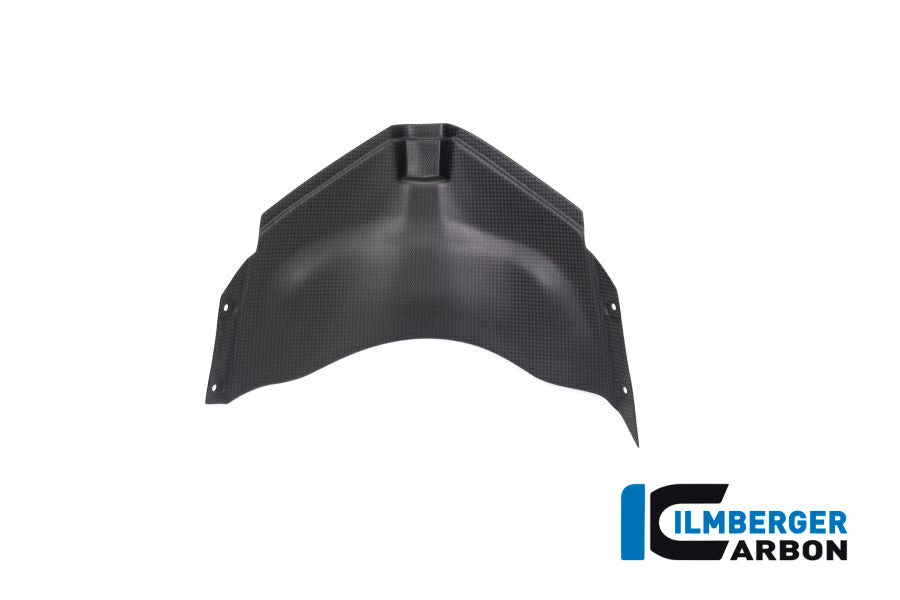Panel under the front fairing Panigale V4 Racing